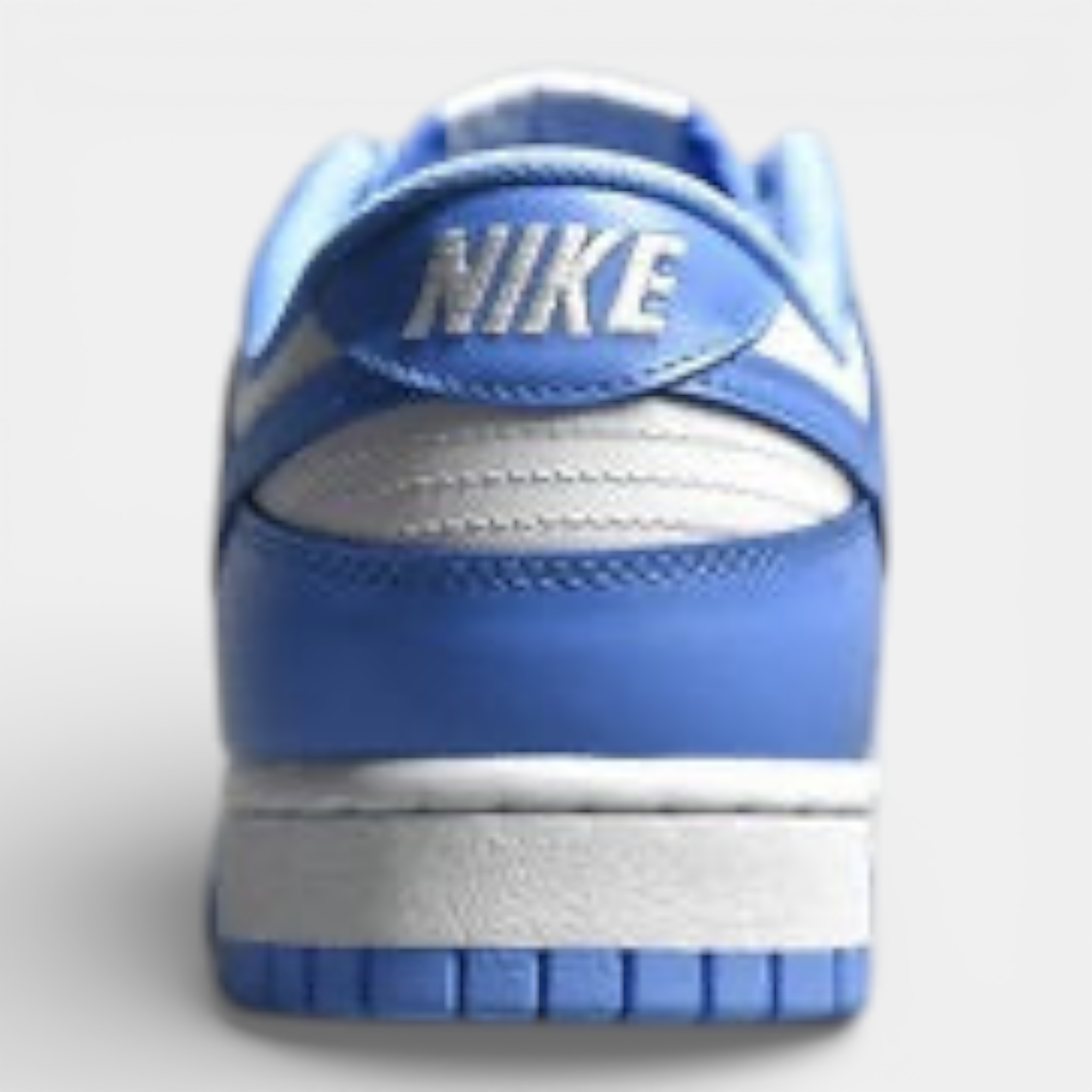 Nike Dunk Low Polar Blue