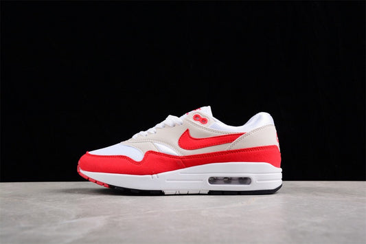Nike Air Max 1