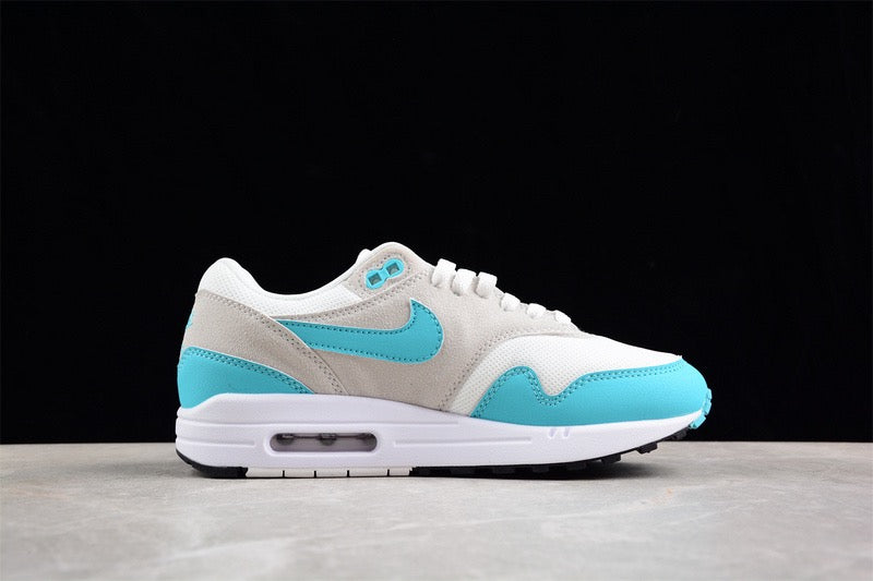 Nike Air Max 1