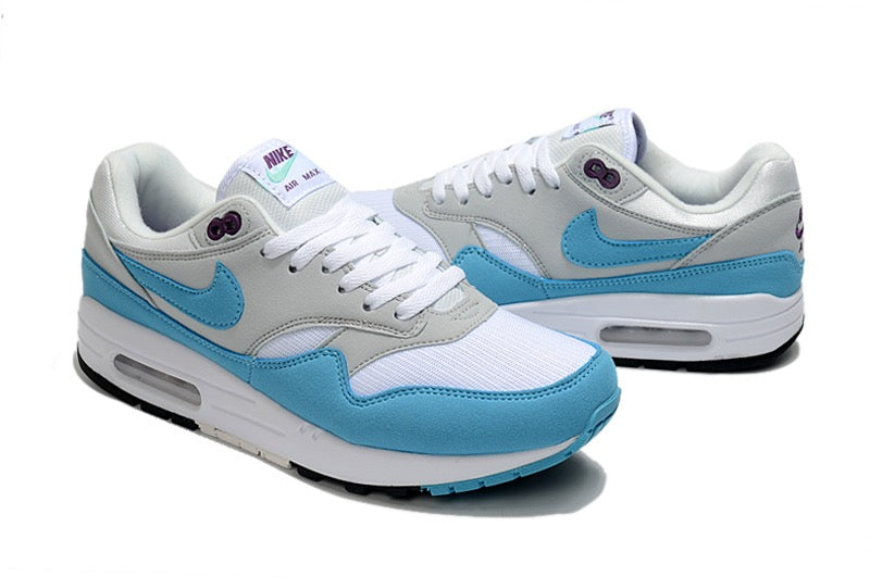 Nike Air Max 1